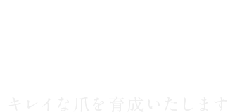 Upbringing of a beautiful nail ～キレイな爪を育成いたします～